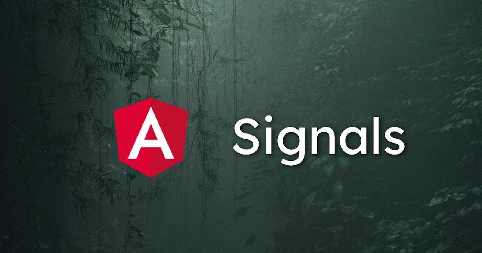 🔍 Exploring Angular Signals: A Sneak Peek into the Future of Optimization! 🚀