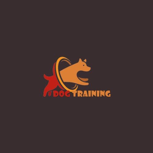 The Dog Training's blog