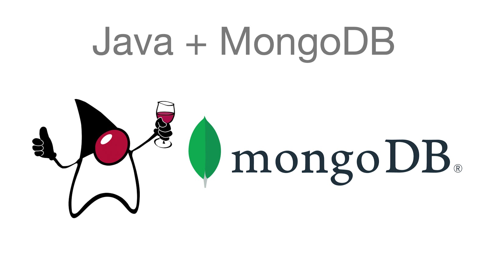 Developing a CRUD Application with Java and MongoDB