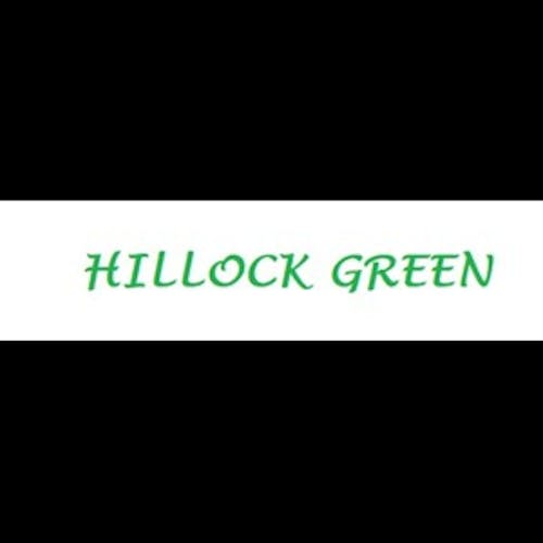 Hillock Green's photo