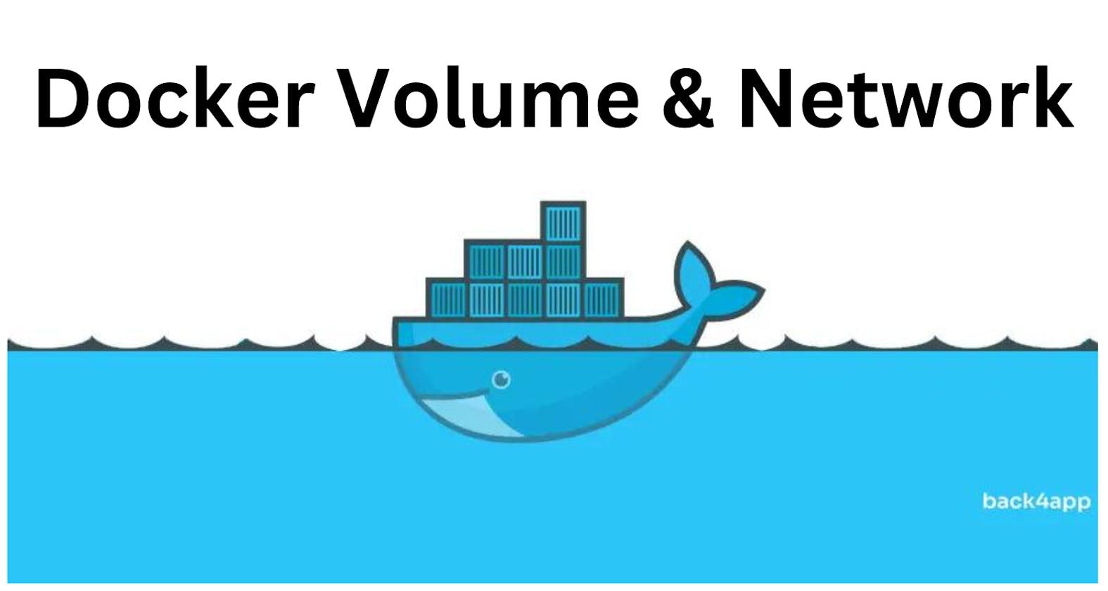 Exploring Docker Volumes and Networks