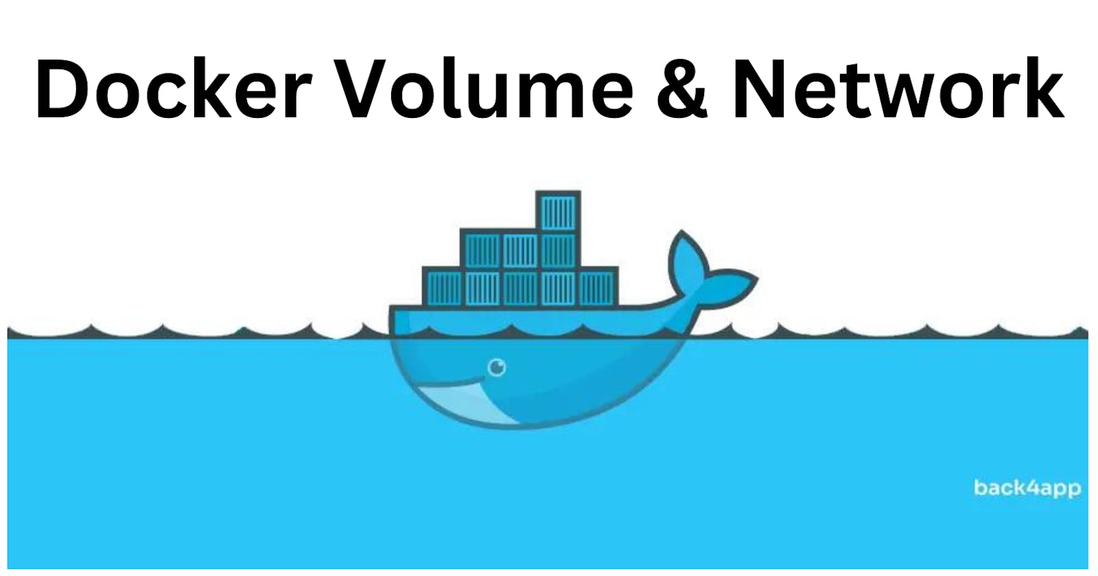 Exploring Docker Volumes and Networks