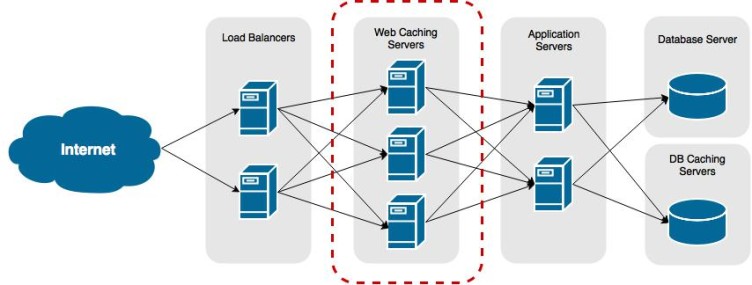 The Journey of a Web Request: From Typing "https://www.google.com" to Loading the Page