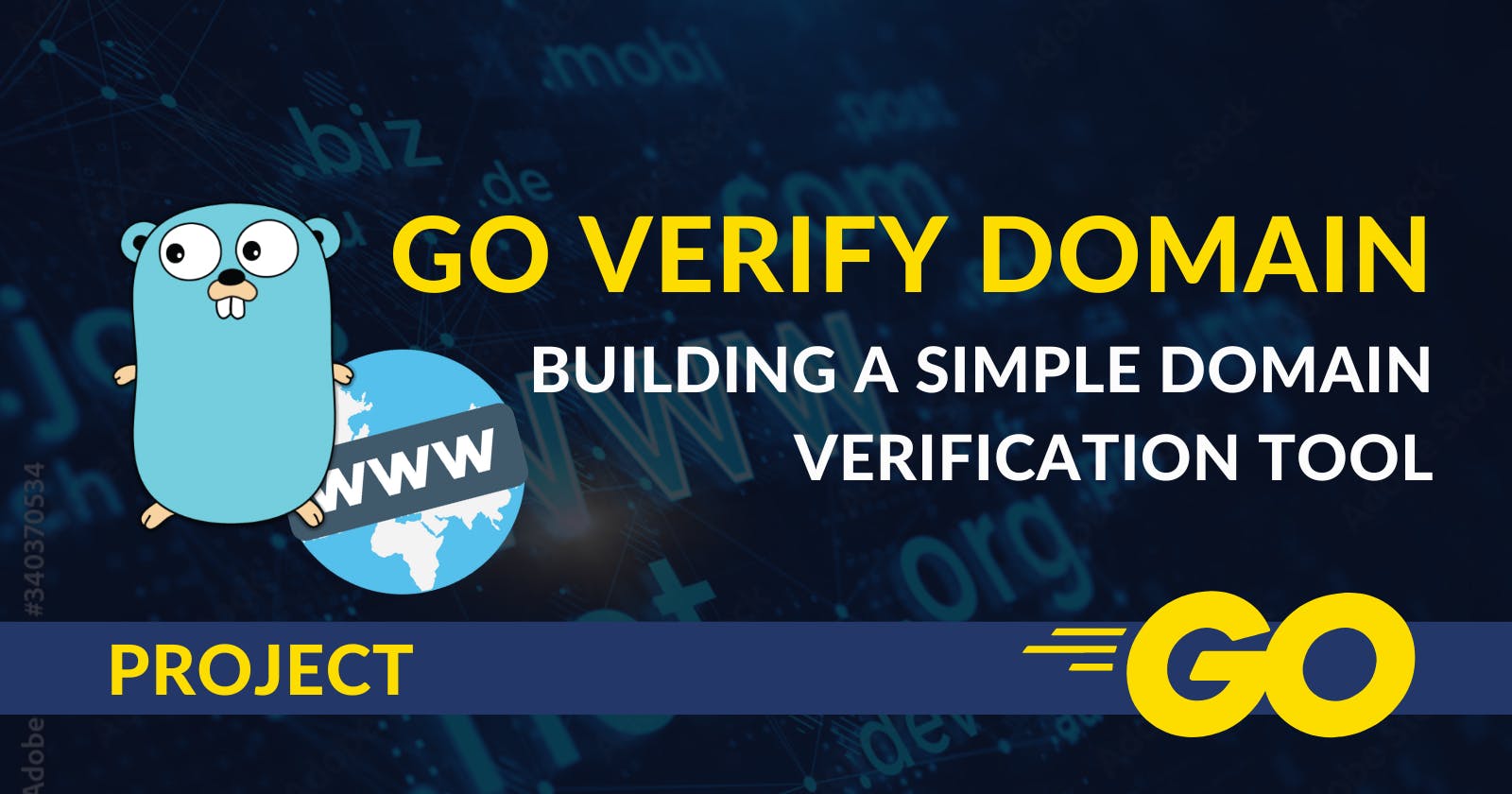 Building a Simple Domain Verification Tool: Introducing GoVerifyDomain 🌐