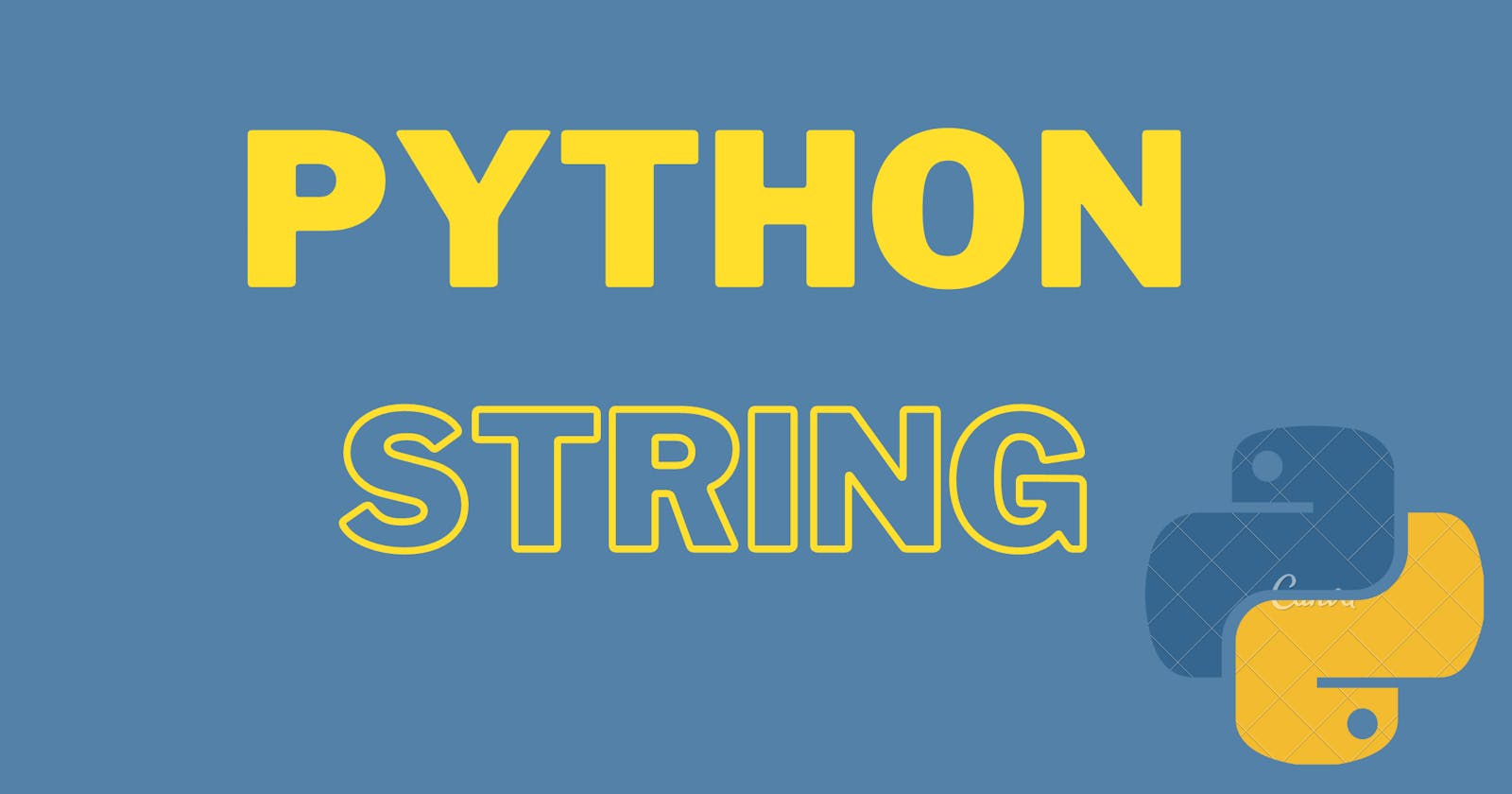 Python Strings: A Detailed Tutorial