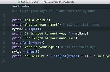 a picture of programming in Python language