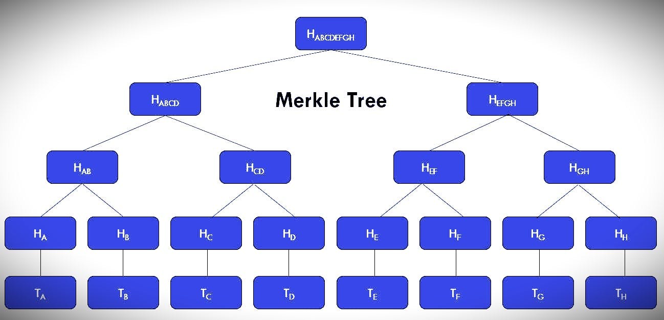 This is how Markle tree look like.