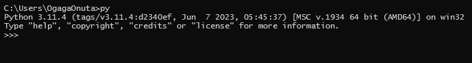 Python Interpreter on Windows