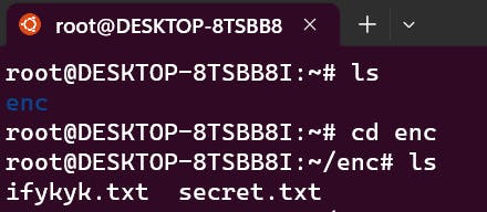 Text files named secret and ifykyk are present in the directory 'enc'
