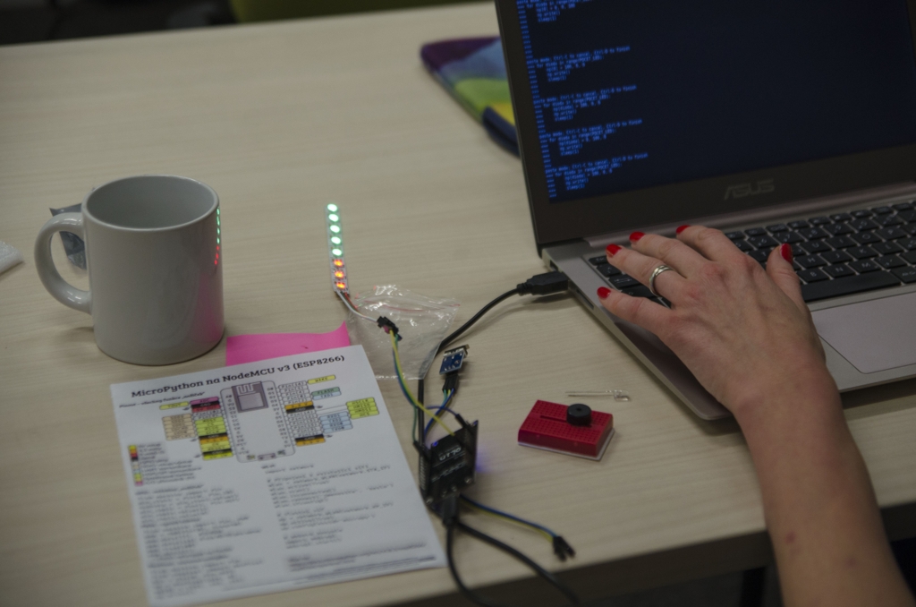 micropython