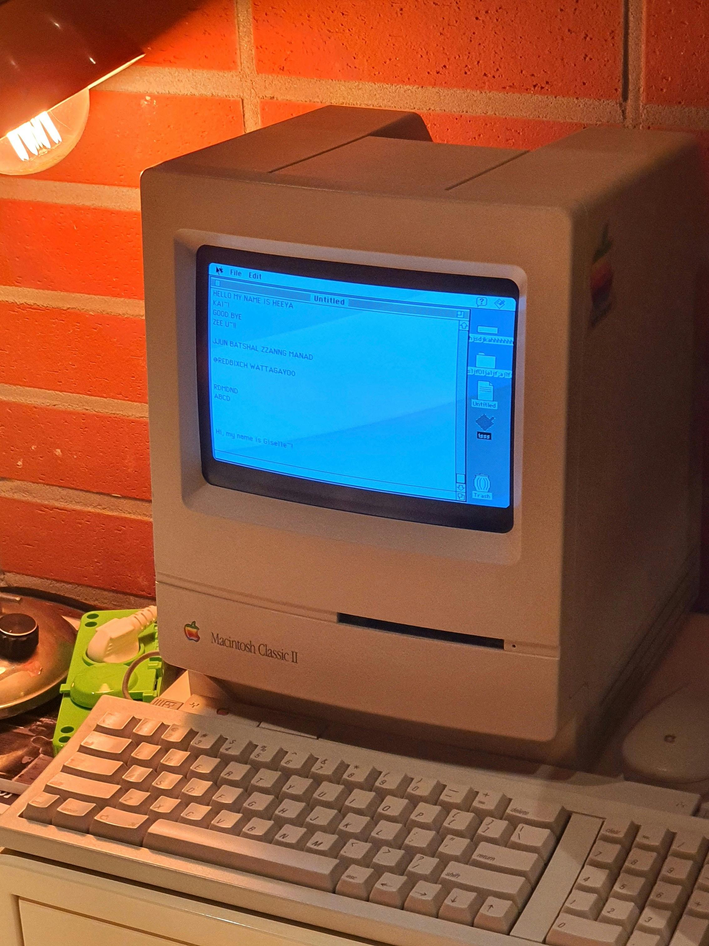 Macintosh terminal