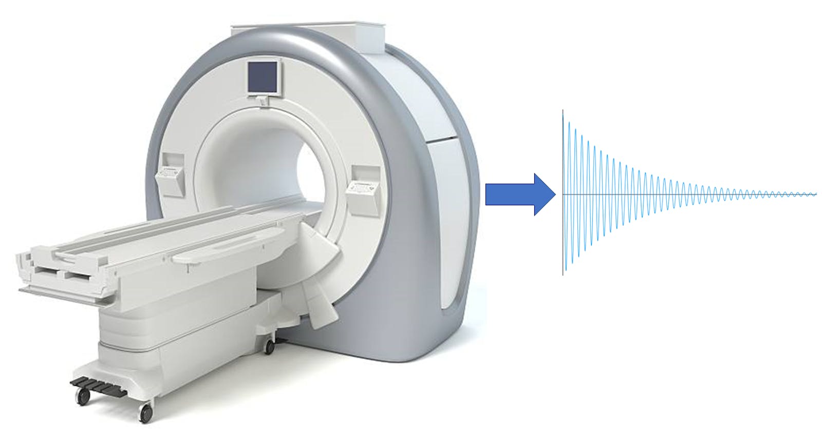 MRI Scan Simulation Made Easy with BlochSim.jl
