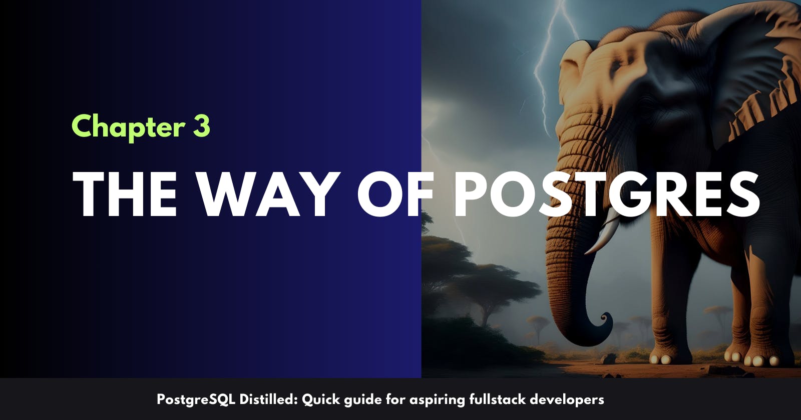 PostgreSQL Distilled: The way of Postgres