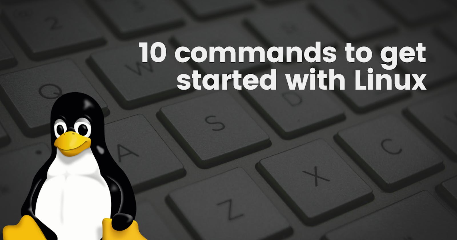 10 commands to get started with Linux