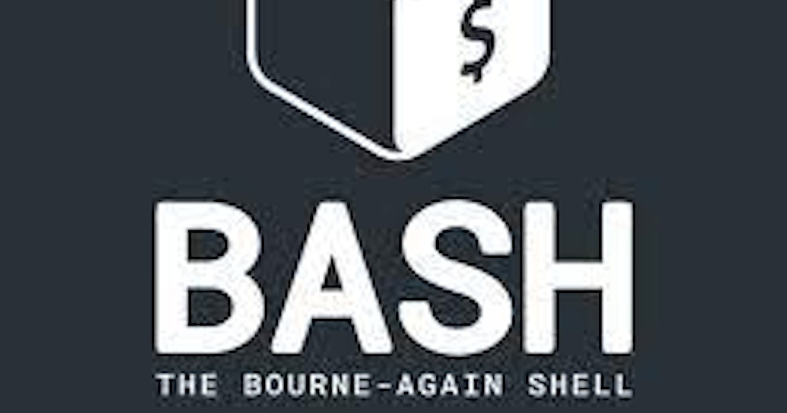 The basics of Bash Shell Scripting.