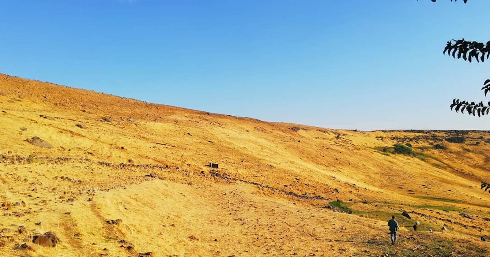 Why Is It So Hot in Cizre and What Are We Doing About It?
