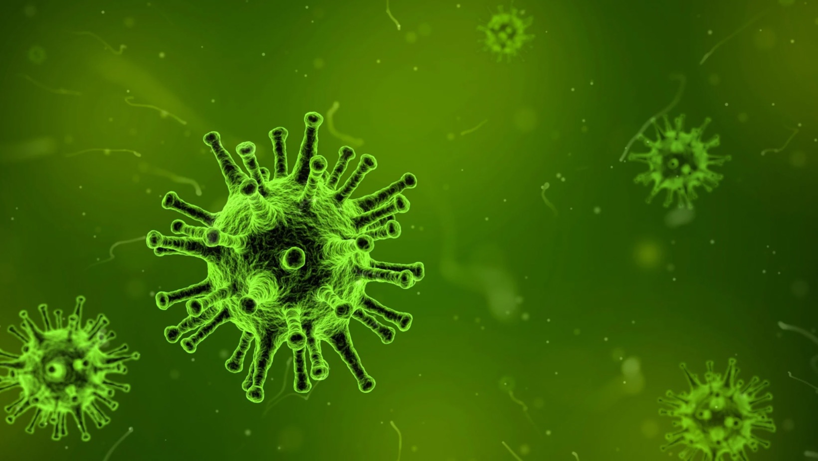 All Viruses Are Malware But Not All Malware Are Virus.
