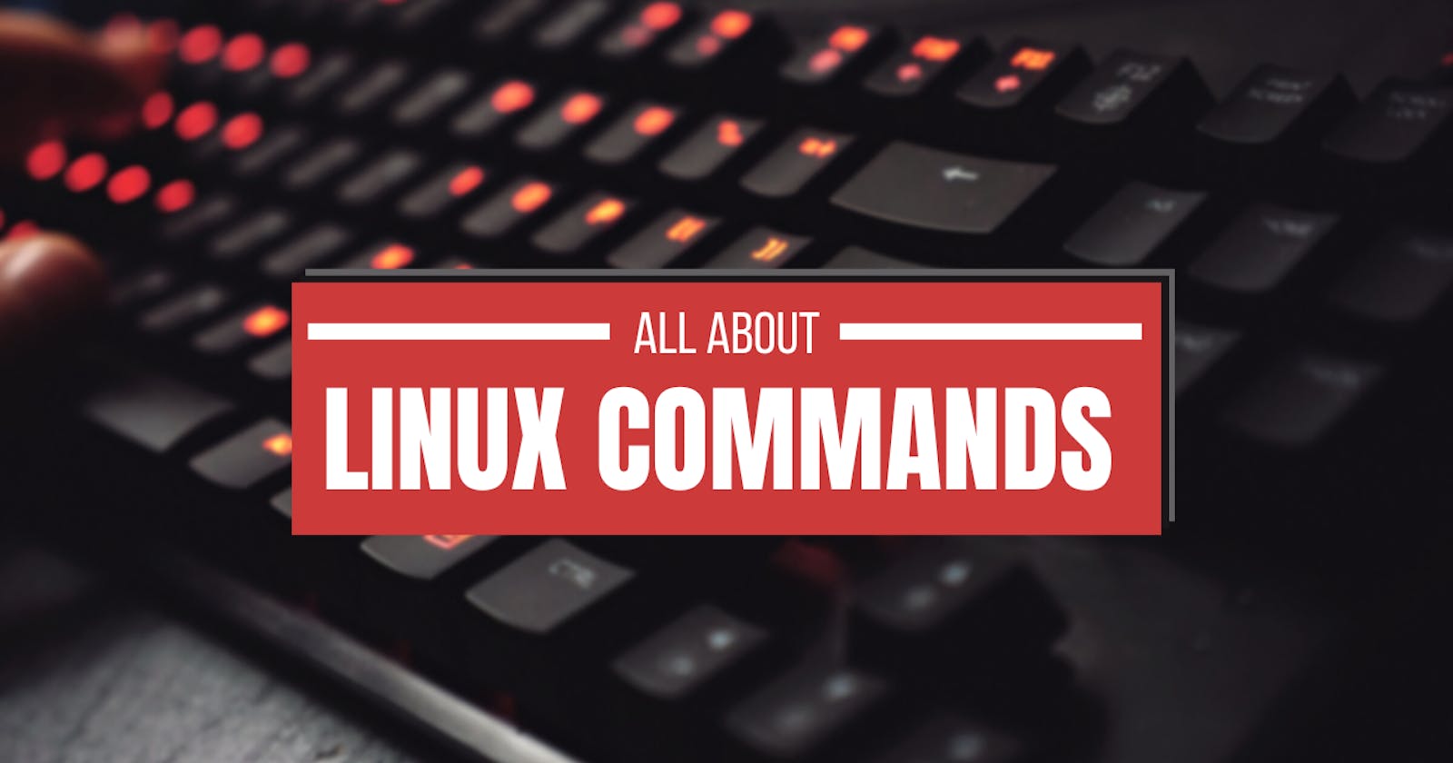 Day3: Linux Command-Line Essentials for Beginners
