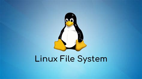 Navigating the Linux File System: A Comprehensive Guide