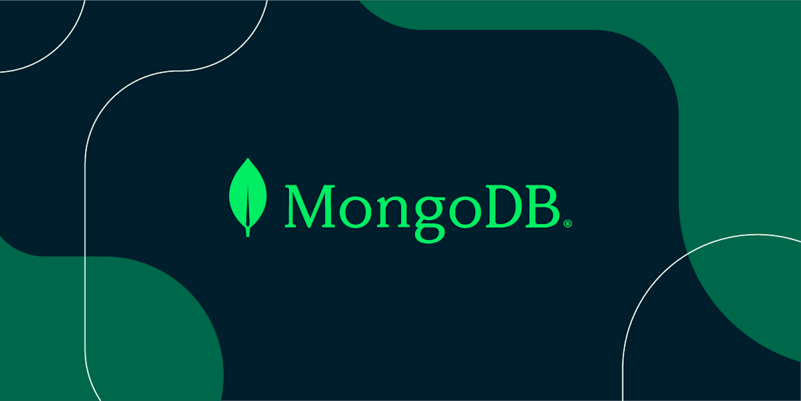 MongoDB Essentials in 20 Minutes