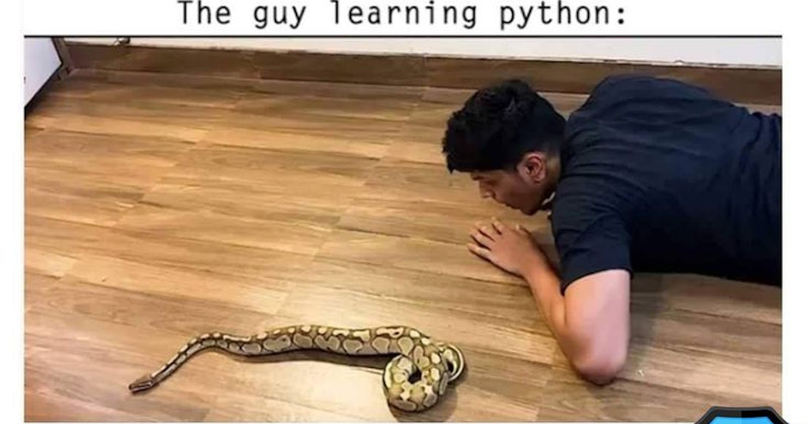Pre Python...