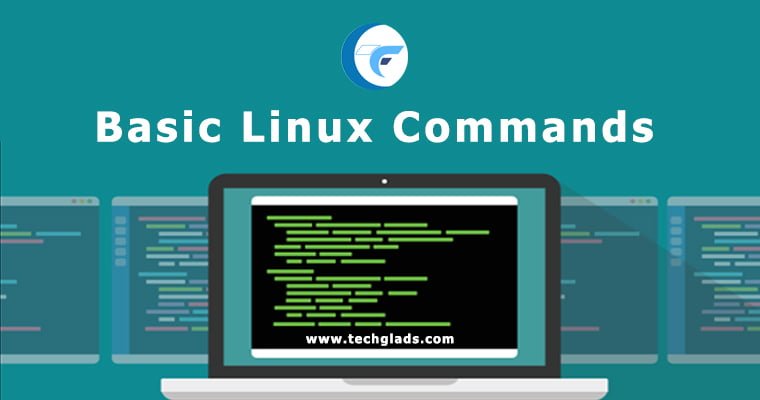 Day 3 Task: Basic Linux Commands