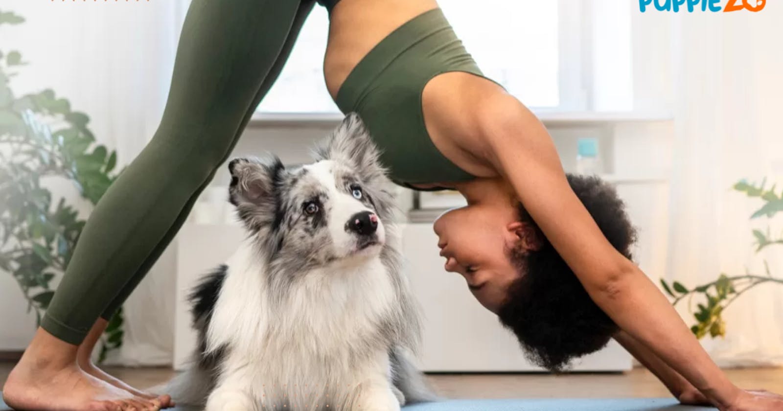 Puppy Yoga: The Perfect Way to De-Stress for Pet Lovers: Puppiezo