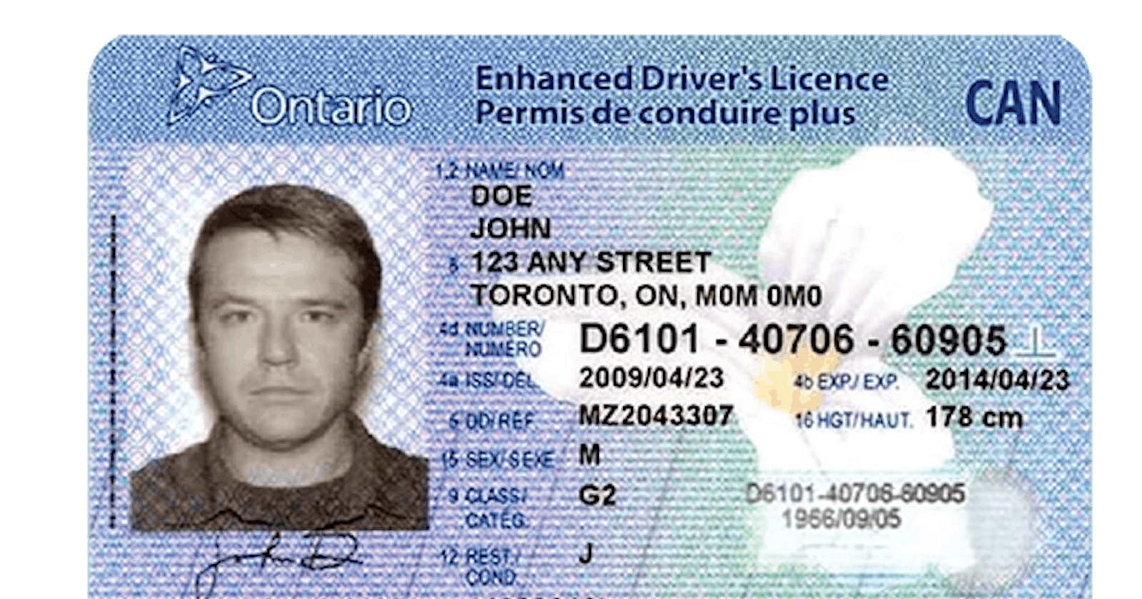 Introducing the Ontario Driver License Validator — The New Gold Standard in ID Verification!
