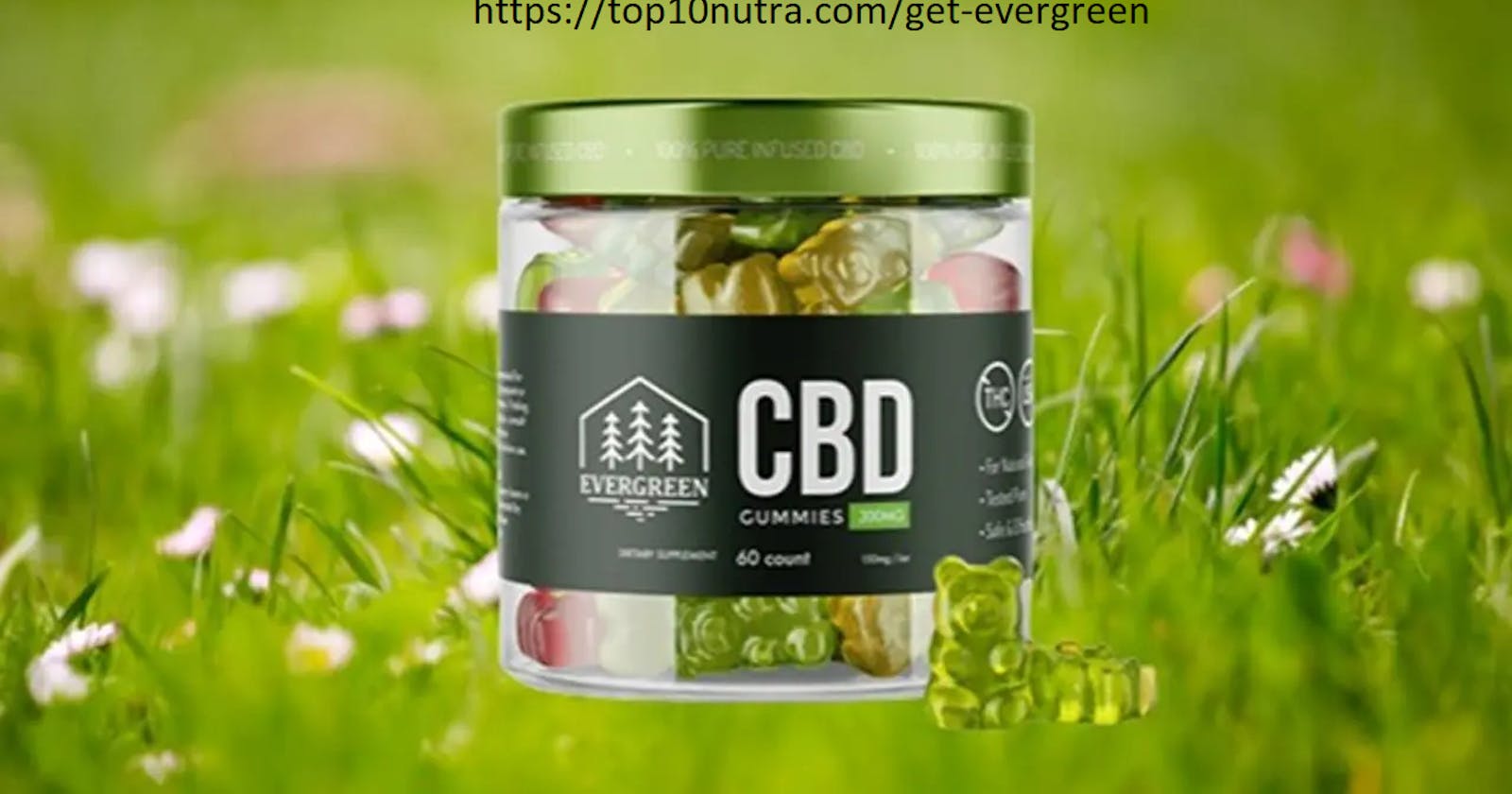 How Evergreen CBD Gummies Canada Can Help You Relieve Pain, Stress, and Anxiety Naturally