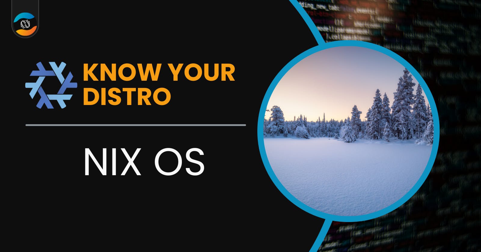 NixOS: A Truly Unique Linux Distribution