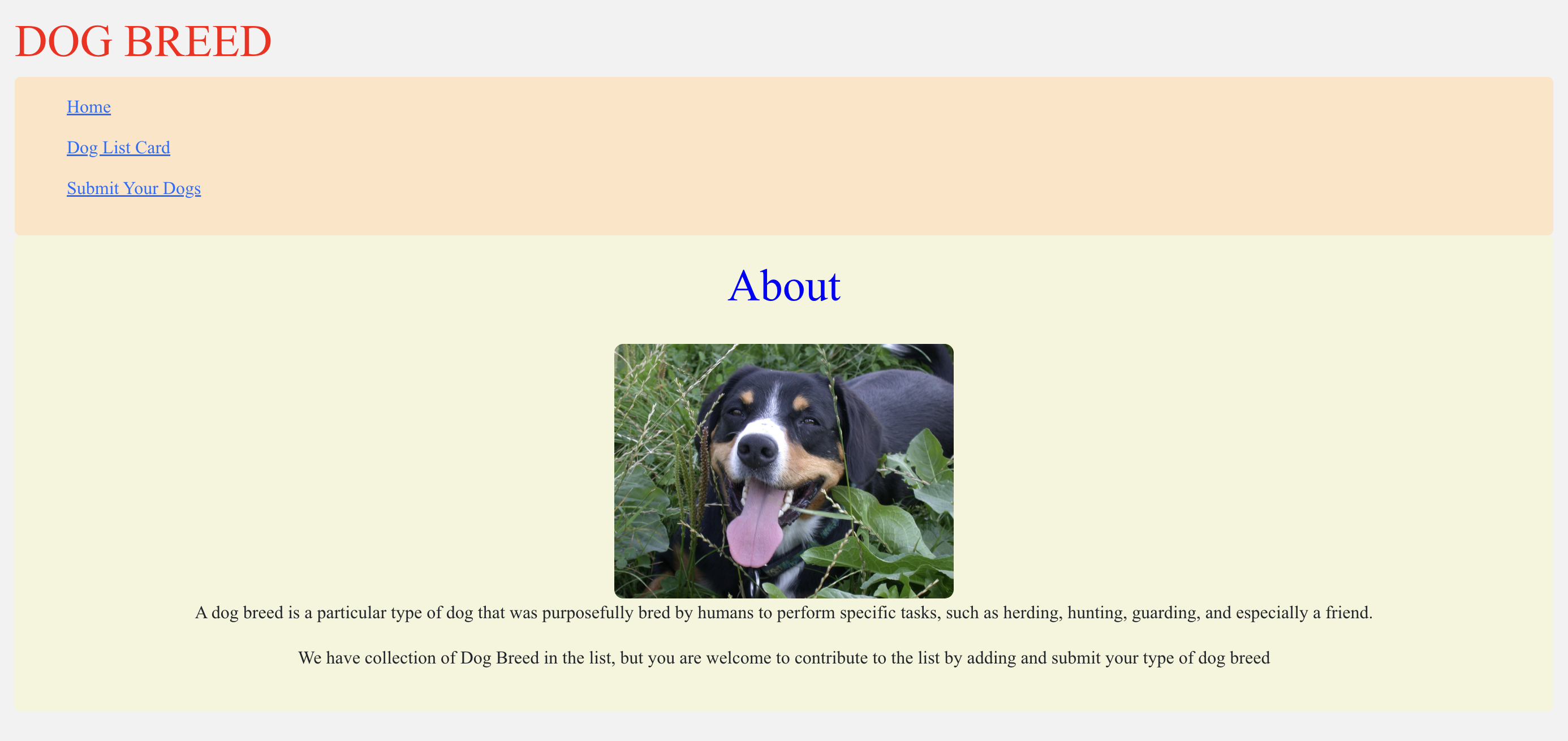 Phase-2-project: Dogs breed React App