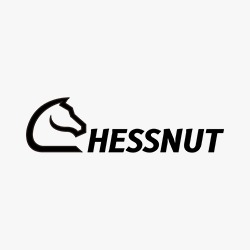 chessnutech