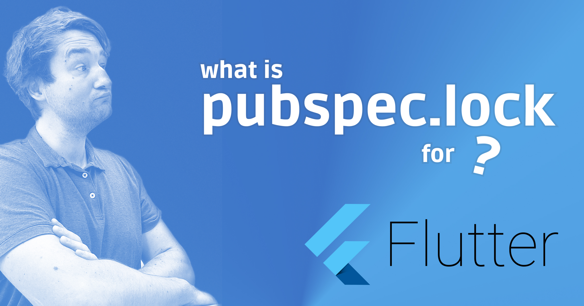 What is pubspec.lock for