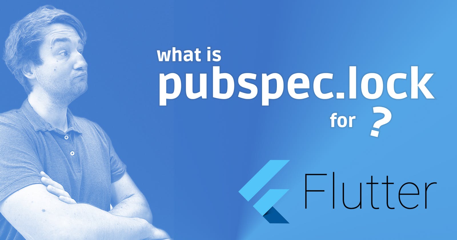 What is pubspec.lock for