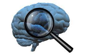 Forensic Psychology In Cybercrime