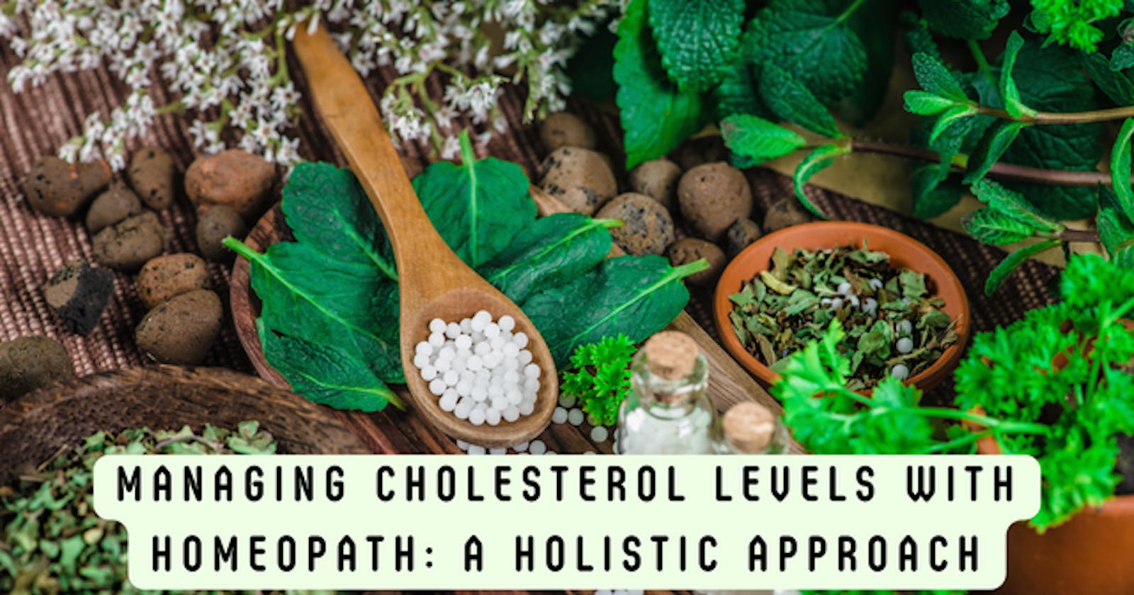 Managing Cholesterol Levels with Homeopath: A Holistic Approach