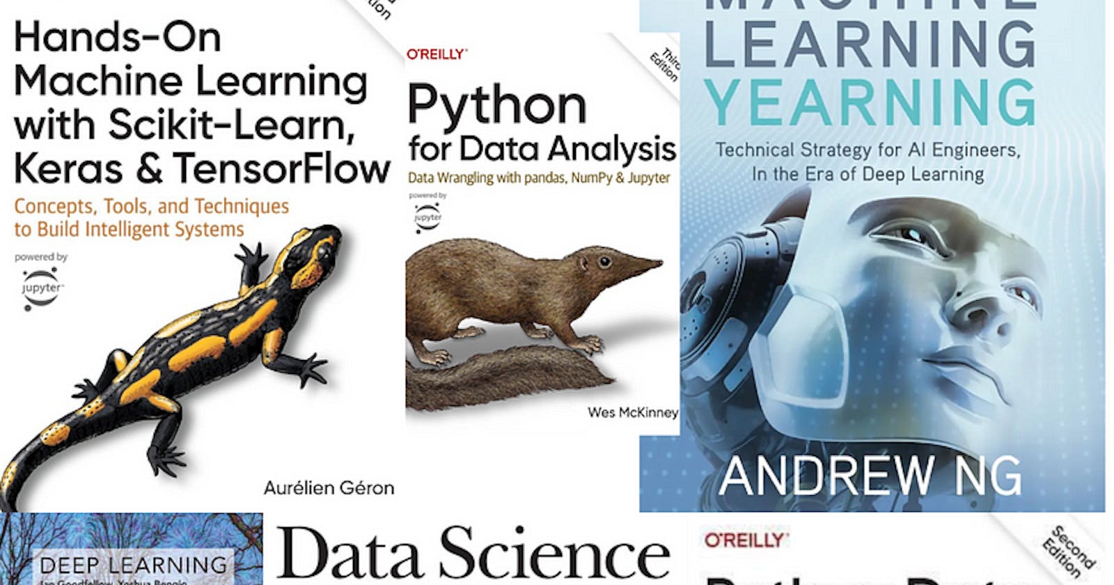 Ultimate Guide: Best Books for Data Science with Ratings for All Levels