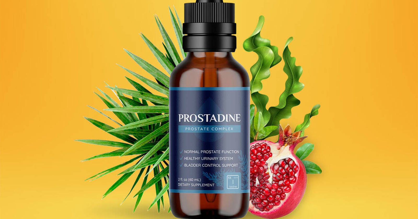 Boost Prostate Wellness with Prostadine!