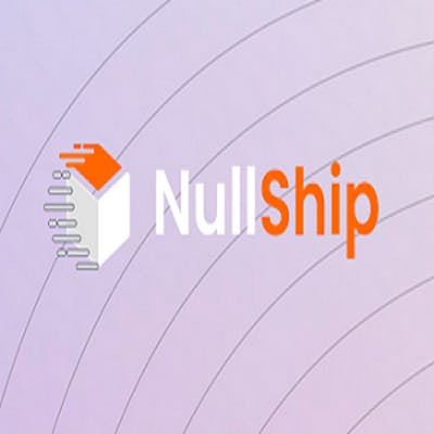 NullShip LLC