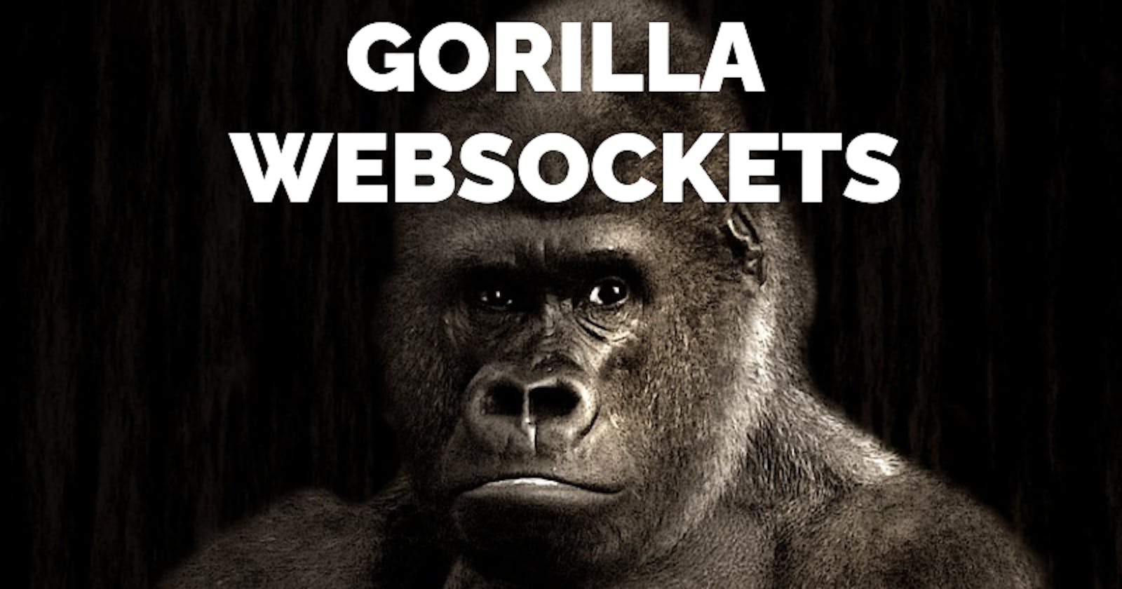Mastering Gorilla WebSockets