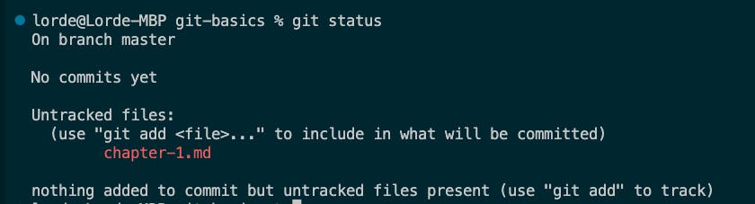 Screenshot of "git status" before adding files to git