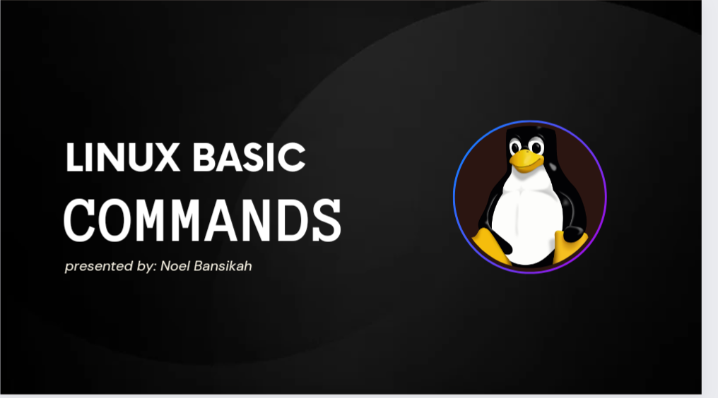 Basic linux Commands