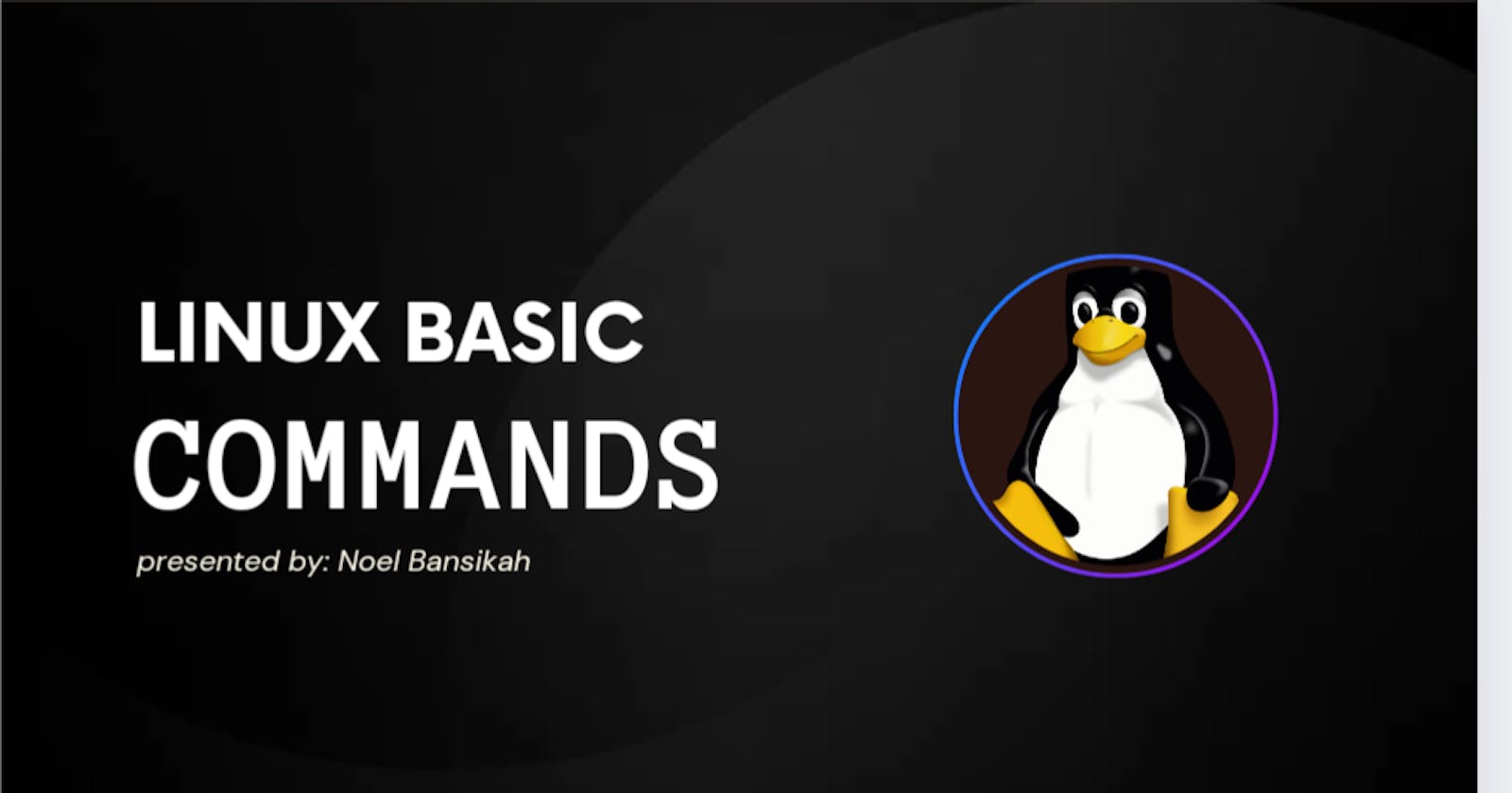 Basic linux Commands