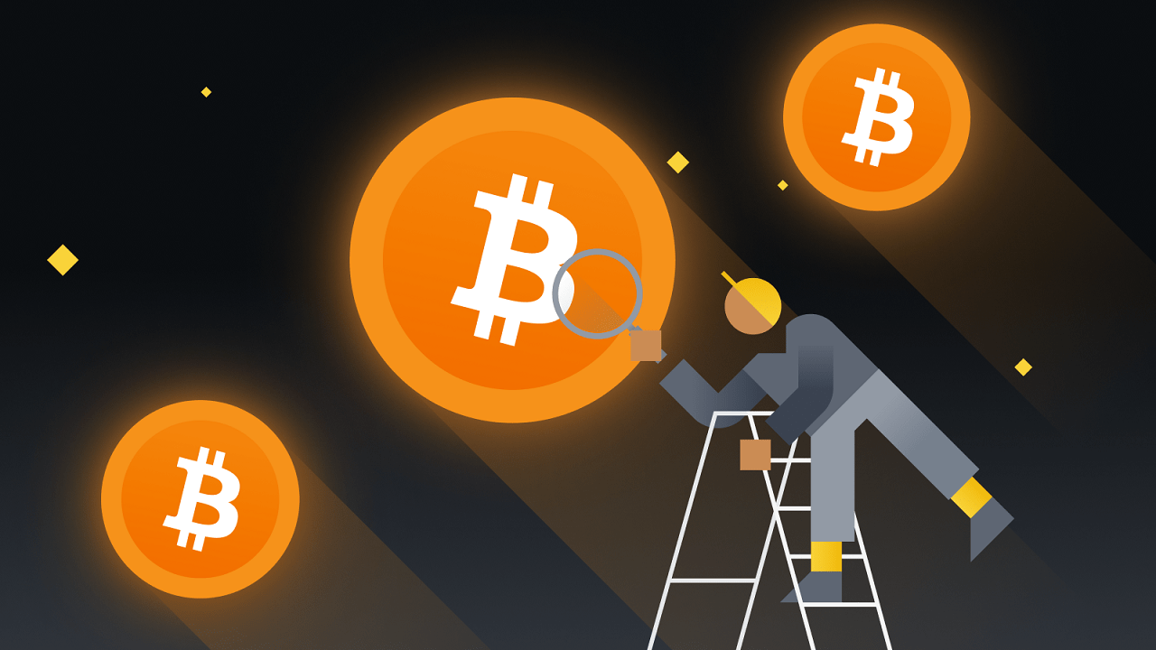 Bitcoin'in Fiyatında Çılgın Yükseliş ve Düşüşler