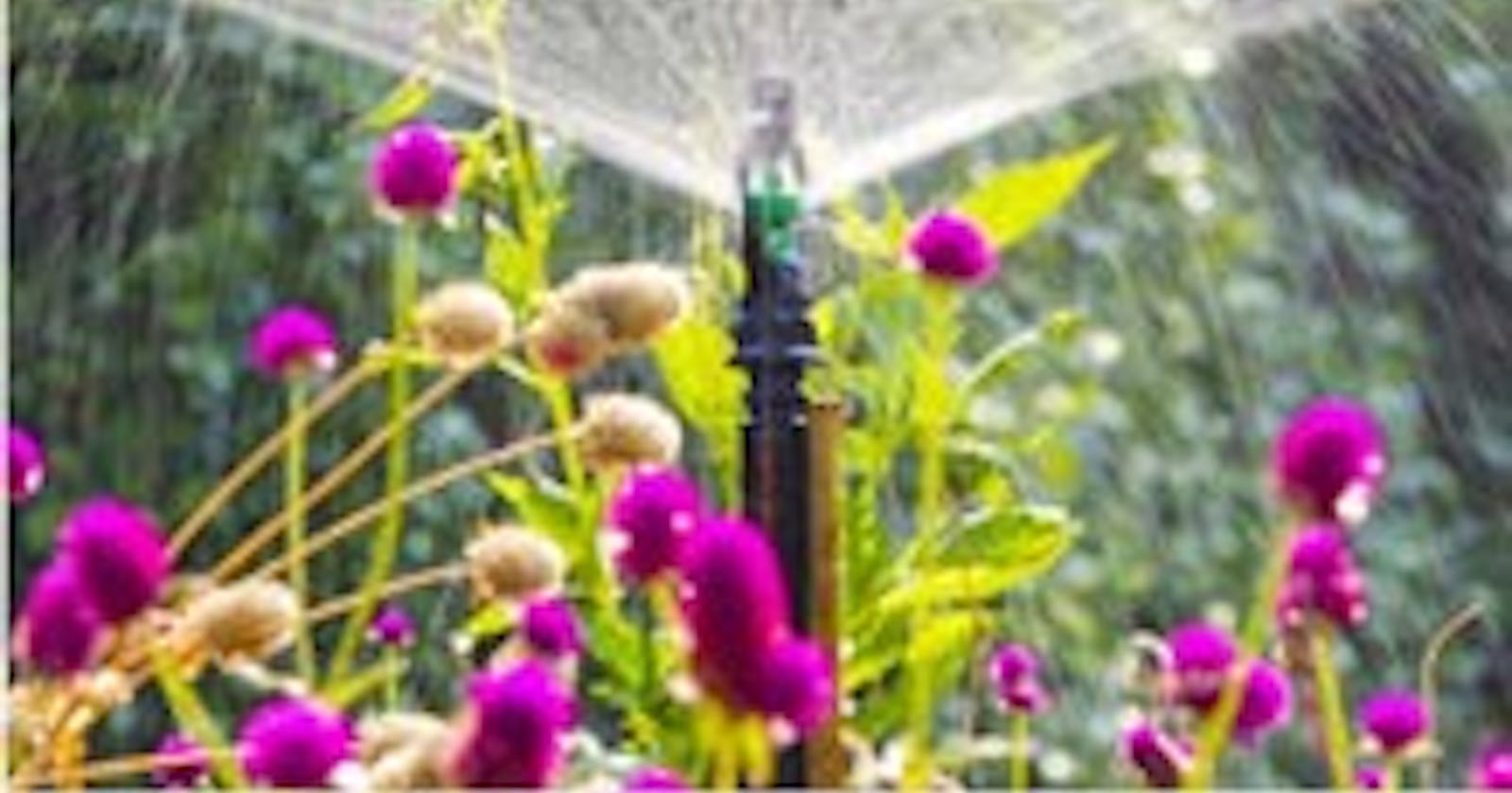 Discover the Secret to Lush Lawns and Gardens with Waterville Irrigation!
