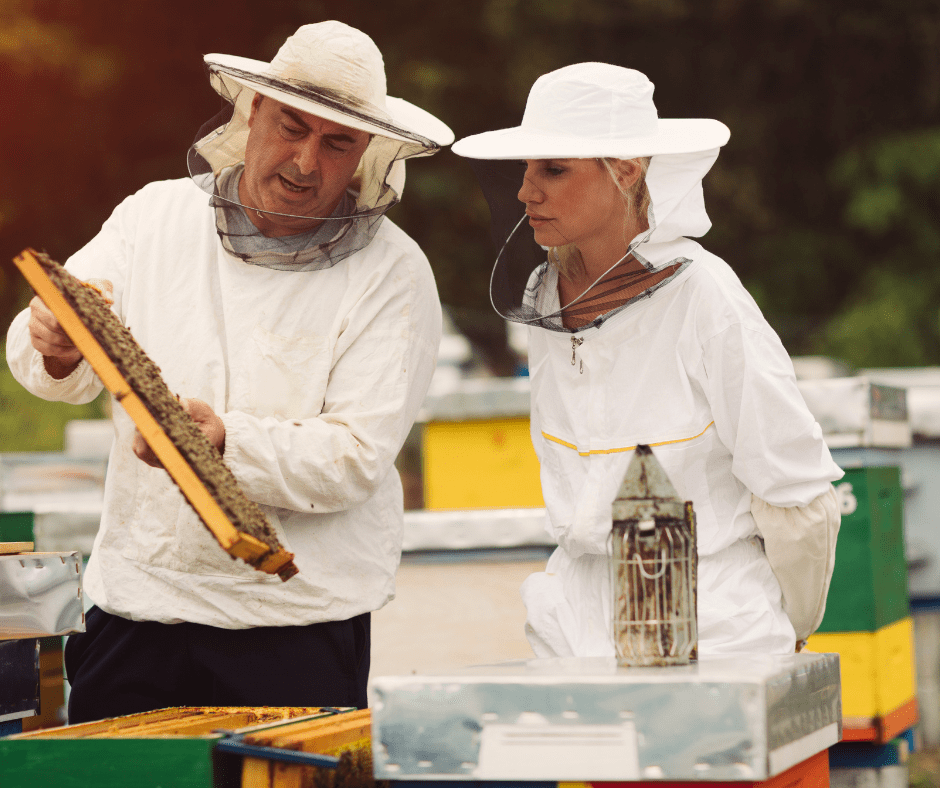 Beekeeper's Gear: Protecting the Buzzing Guardians