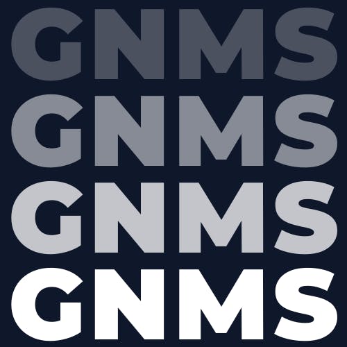 GNMS - Blog