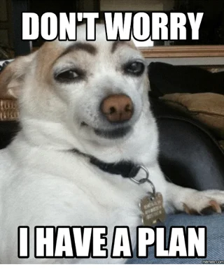 Don't worry, doggy got a plan