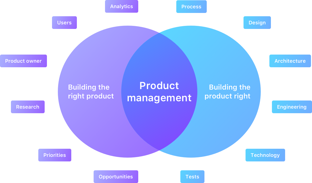 The Product Prodigy Chronicles