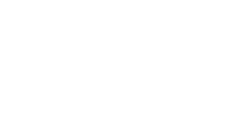 RDZN - German Football - Blog